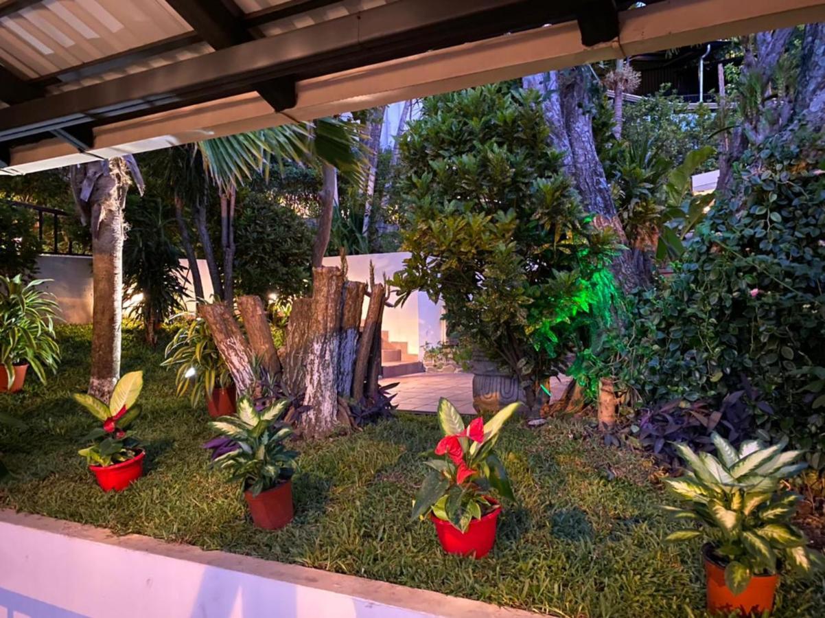 Casa Reflejos City View San José Dış mekan fotoğraf