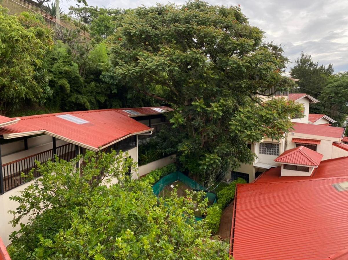 Casa Reflejos City View San José Dış mekan fotoğraf